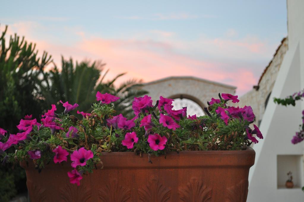 Masseria Del Crocifisso Polignano a Mare Dış mekan fotoğraf